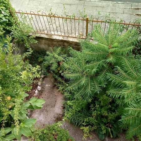 Il Cactus Bed and Breakfast San Giovanni Incarico Εξωτερικό φωτογραφία