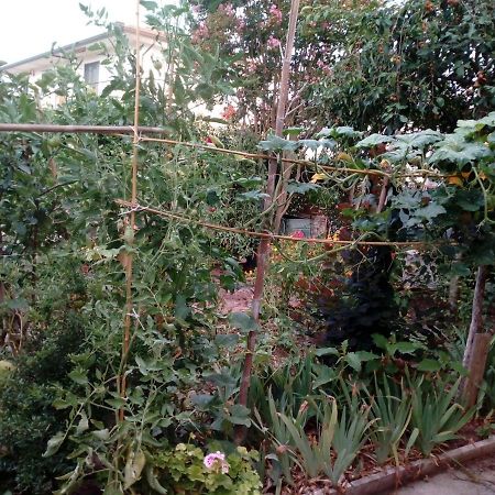 Il Cactus Bed and Breakfast San Giovanni Incarico Εξωτερικό φωτογραφία
