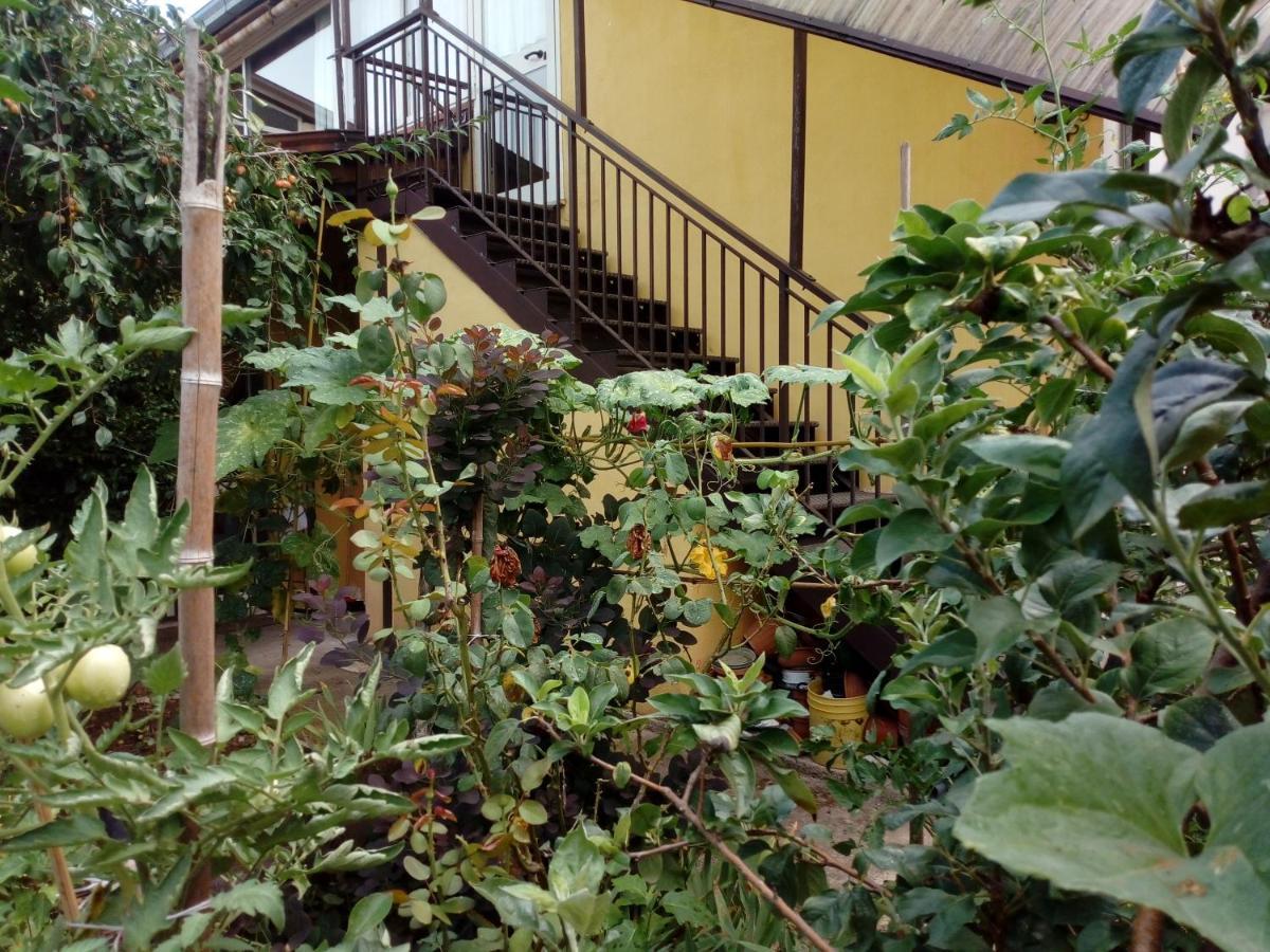 Il Cactus Bed and Breakfast San Giovanni Incarico Εξωτερικό φωτογραφία
