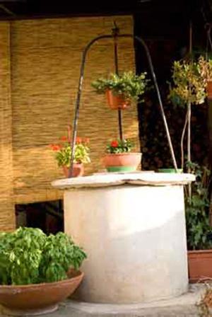 Il Cactus Bed and Breakfast San Giovanni Incarico Εξωτερικό φωτογραφία